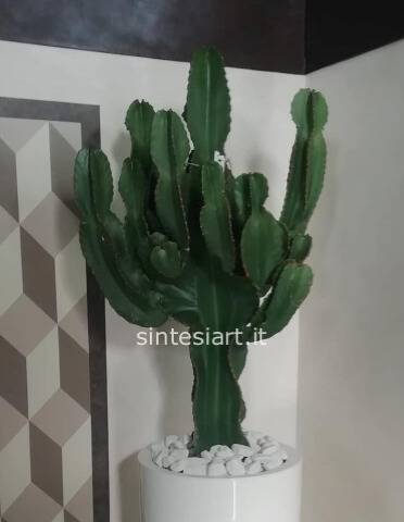 EUFORBIA INGENS CON VASO CERAMICA