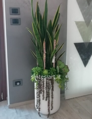 Sansevieria extra con vaso in ceramica sintetica, decorazioni di muschio, legno, piante grasse