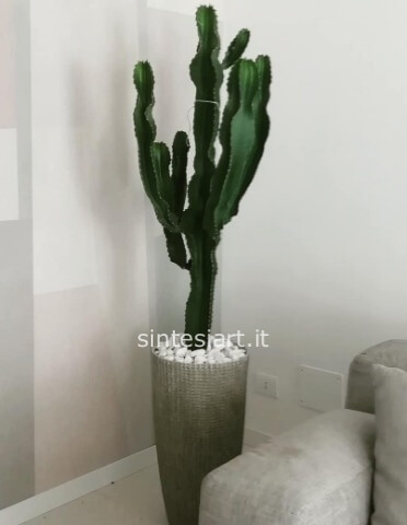 EUFORBIA INGENS ESEMPLARE CON VASO CERAMICA