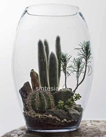 Composizione piante grasse miste in vetro alto