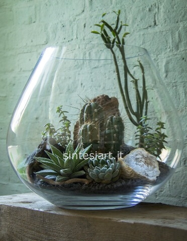 Composizione piante grasse miste  in vetro tondo/ovale