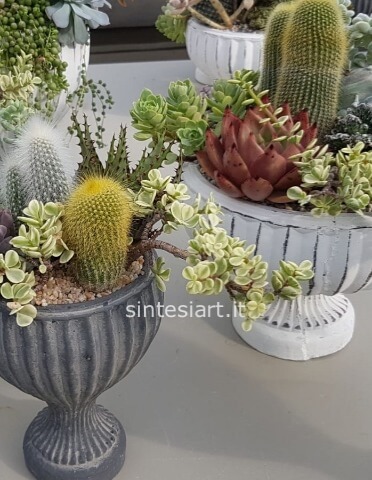 Composizione di piante grasse, in vaso di ceramica artigianale, con decorazioni di elementi lignei,