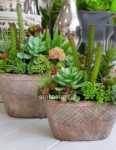 Composizione di piante grasse, in vaso di ceramica artigianale, con decorazioni di elementi lignei.